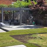 Backyard transformation